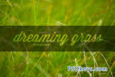 Dreaming grass no.2 - 10 photoset 94838