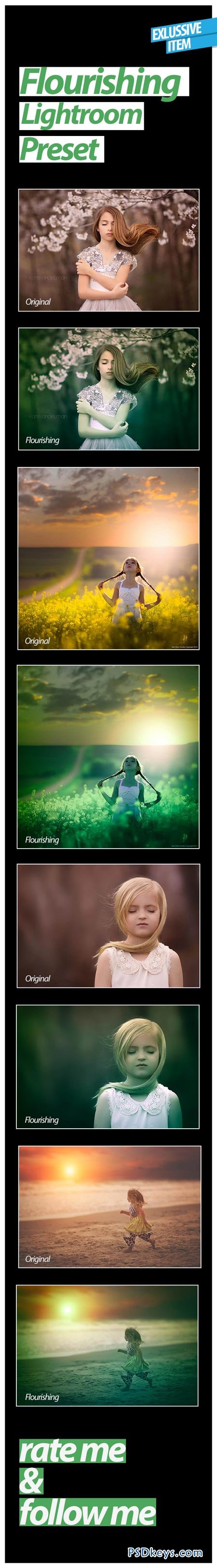 Flourishing Lightroom Preset 8862667