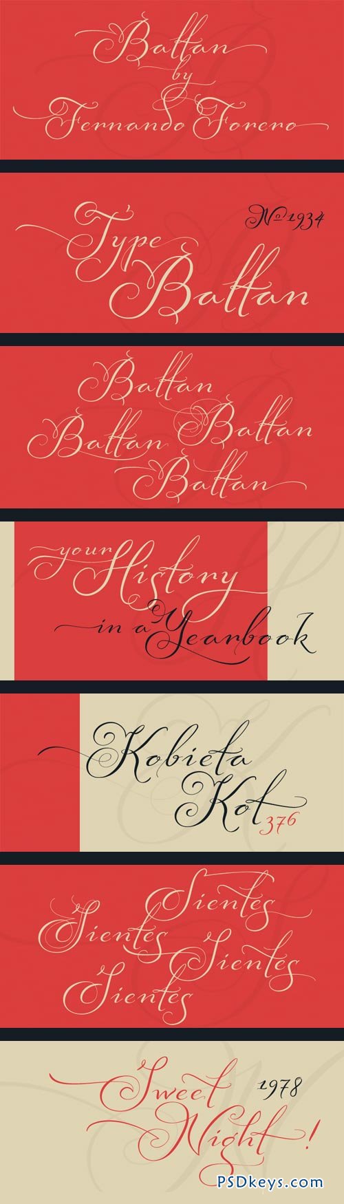Baltan Font Family - 8 Fonts for $156