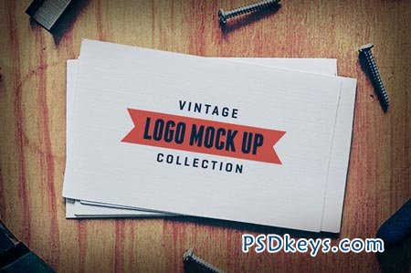 7 Vintage Logo Mock Up Templates 68117
