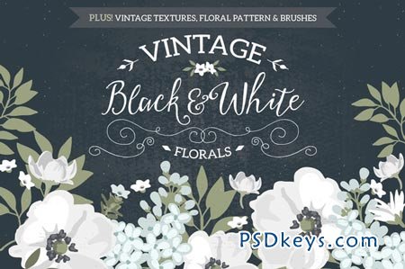 Vintage Black & White Florals 76119