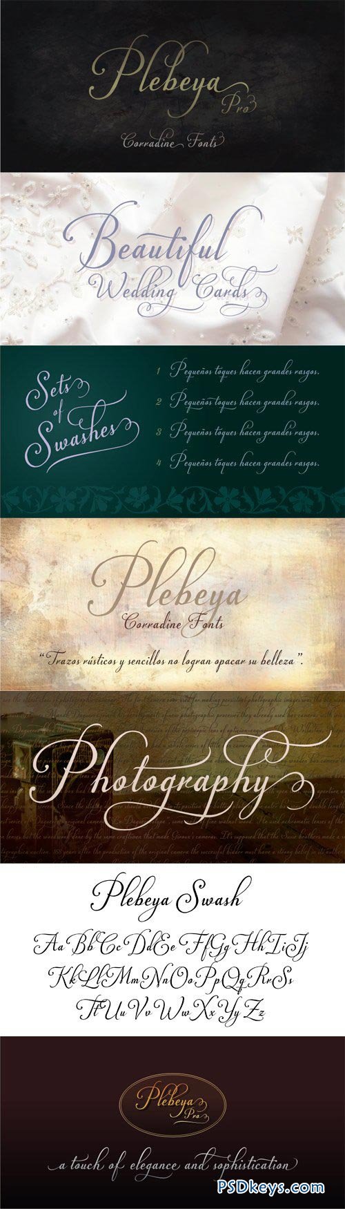 Plebeya Font Family - 4 Fonts for $120