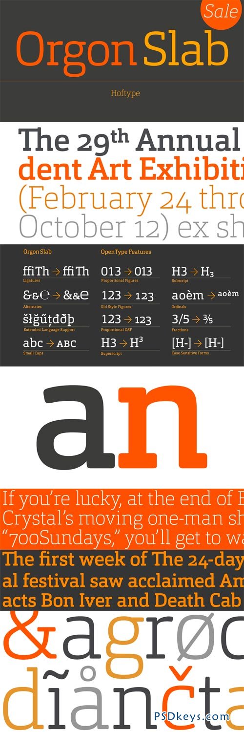 Orgon Slab Font Family - 16 Fonts for $198