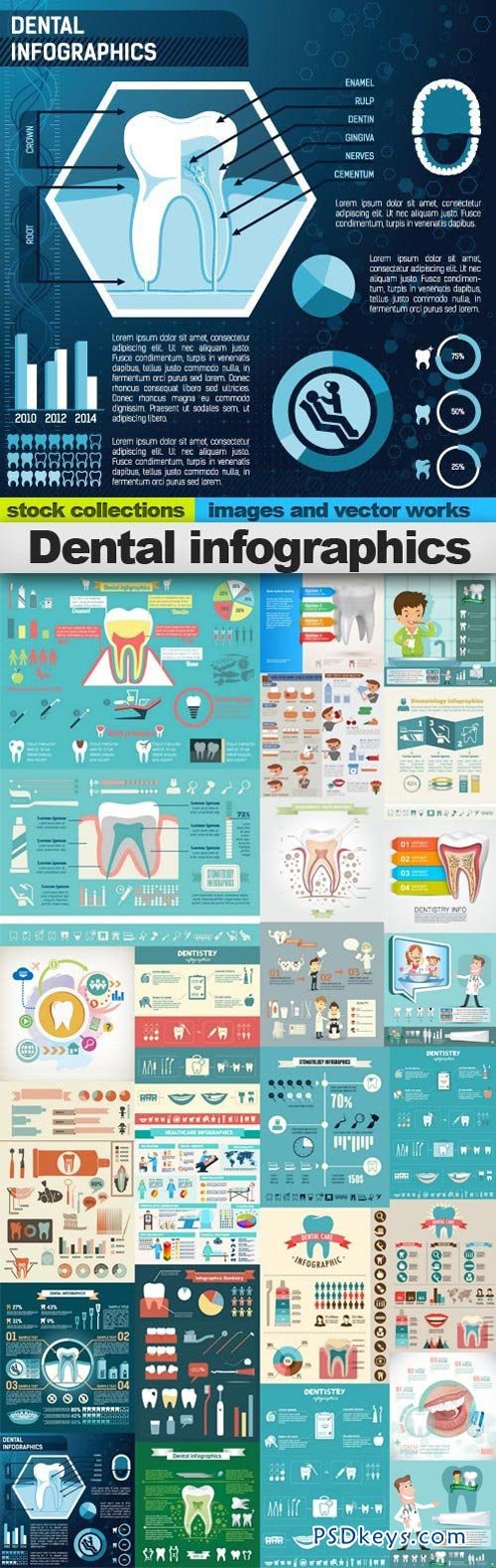 Dental infographics 25xEPS