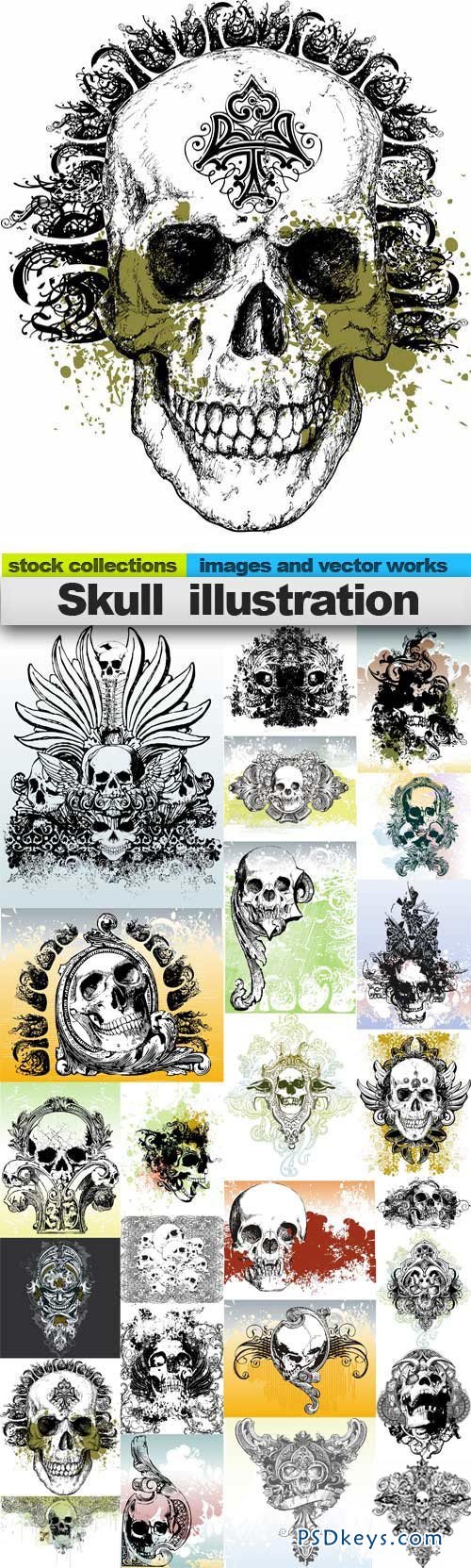 Skull illustration 25xUHQ JPEG