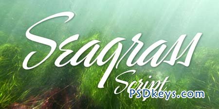 Seagrass BF Font for $39
