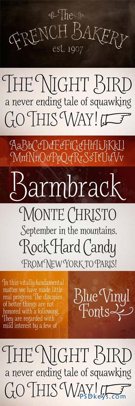 Barmbrack Font Family - 2 Fonts for $40