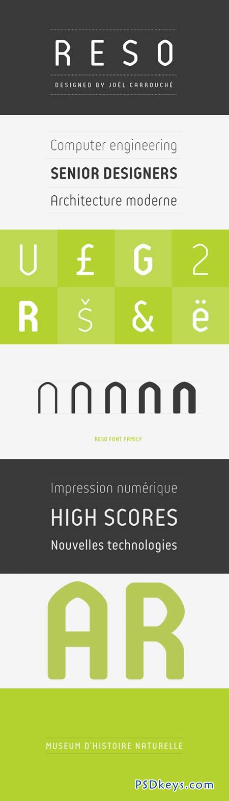 Reso Font Family - 5 Fonts for $120