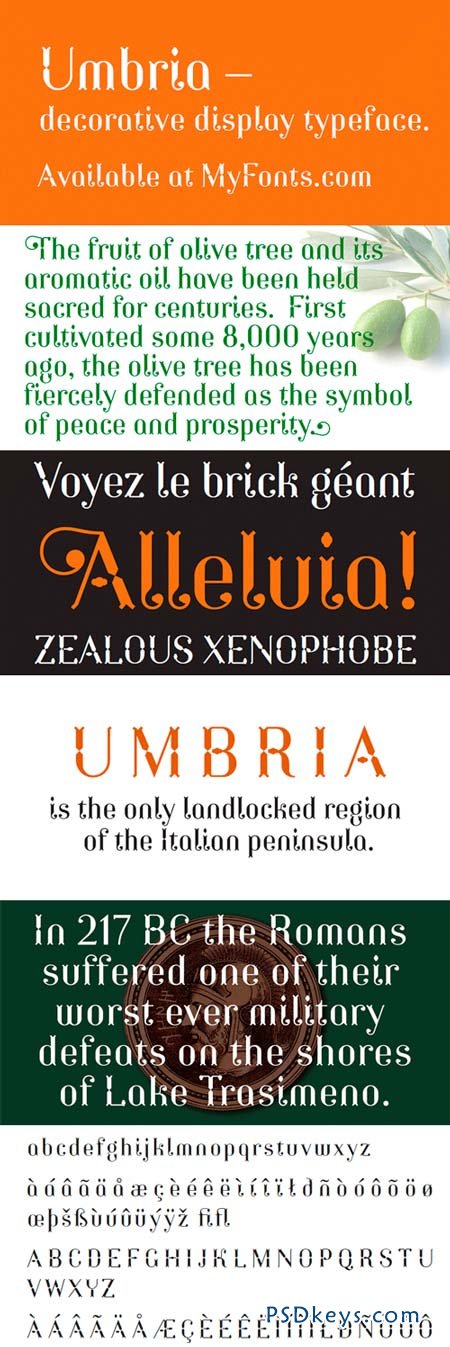 Umbria Font Family - 2 Fonts for $48
