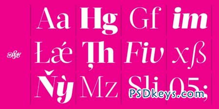 Acta Display Font Family - 11 Fonts for $295