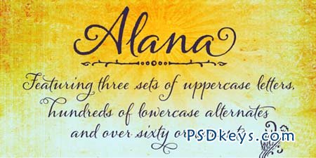 Alana Font for $49