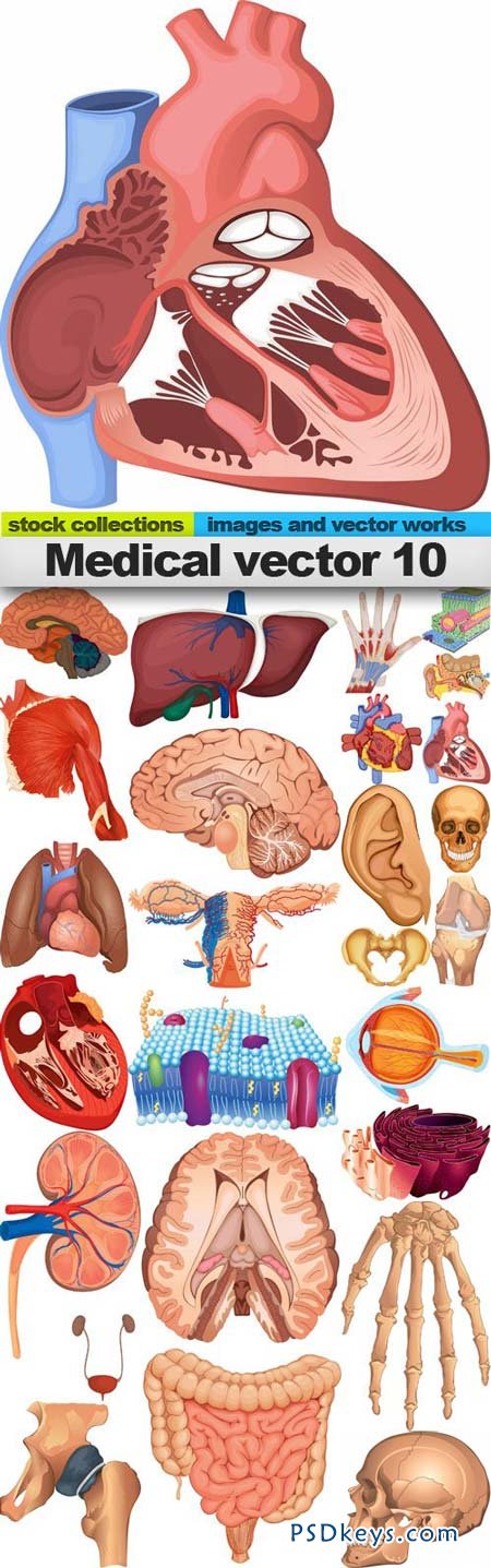 Medical vector 10 25xEPS