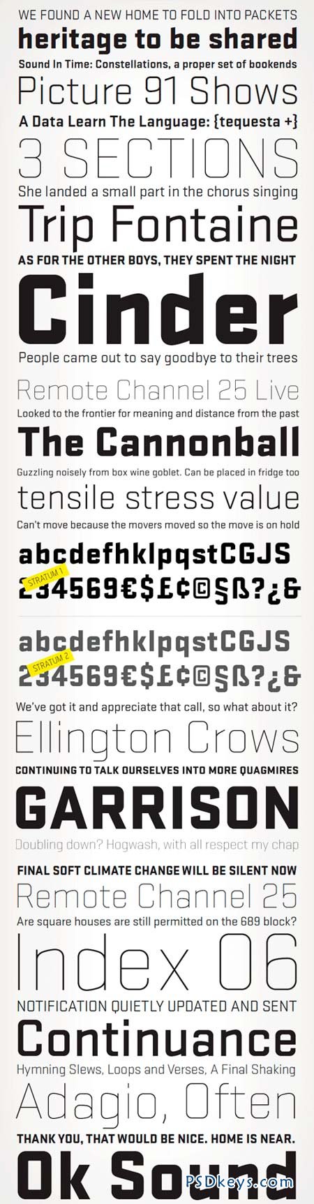 Stratum 1 & 2 Fonts Family - 12 Fonts for $179