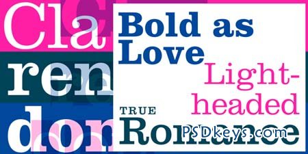 Clarendon Font Family - 3 Fonts for $78