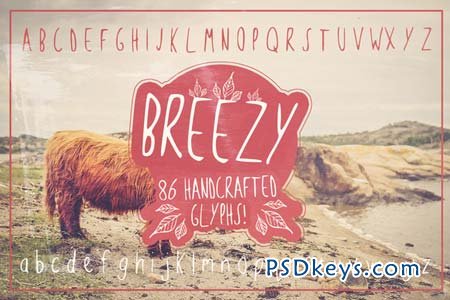 Breezy Handsketched Font 74652