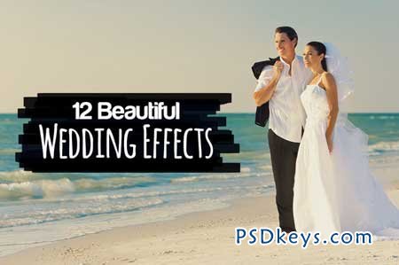 12 Beautiful Wedding Effects 15118