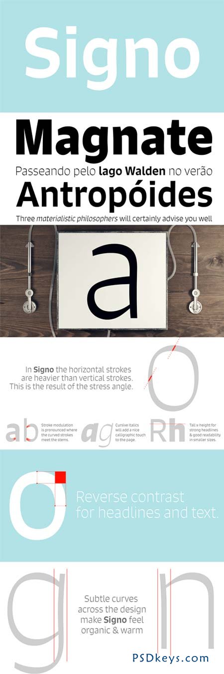Signo Font Family - 12 Fonts for $328