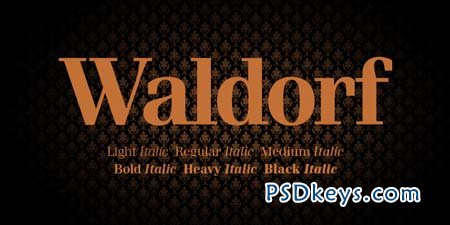 Waldorf Pro Font Family - 13 Fonts for $360