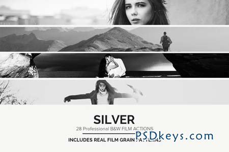 Silver - 28 Real B&W Film Emulations 4101