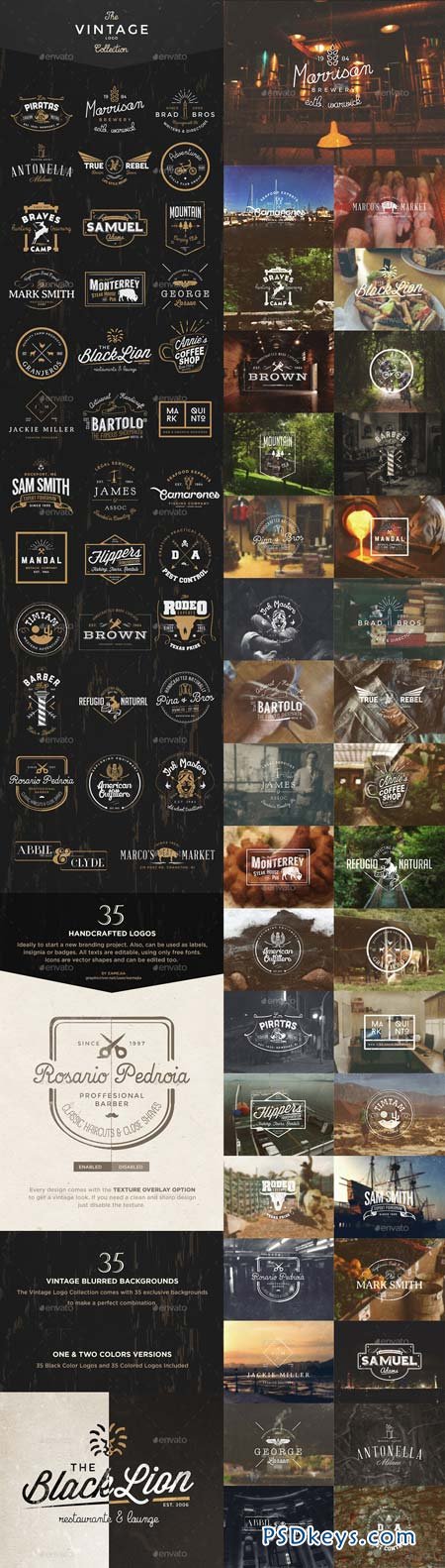 The Vintage Logo & Badge Collection 9244871