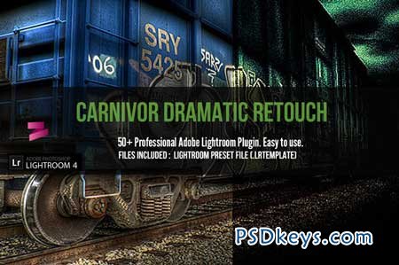 50+ Dramatic Adobe Lightroom Presets 43439