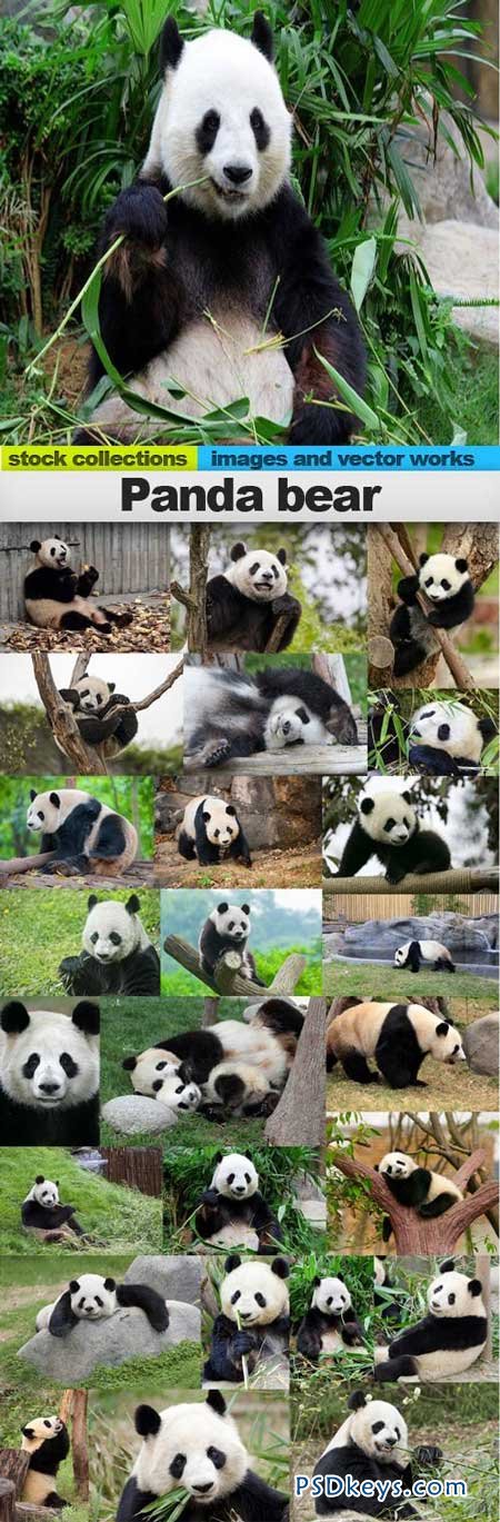 Panda bear 25xUHQ JPEG