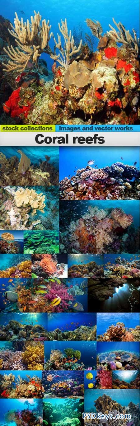 Coral reefs 25xUHQ JPEG