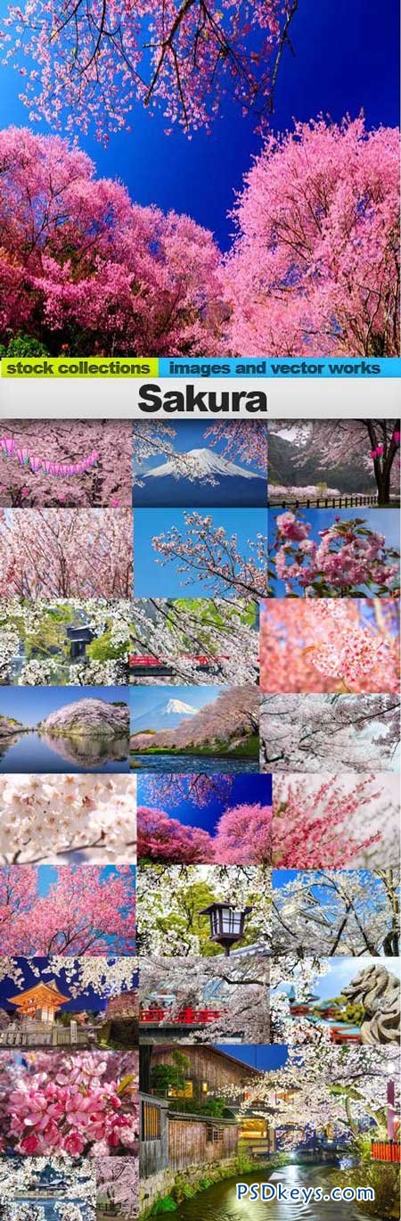 Sakura 25xUHQ JPEG