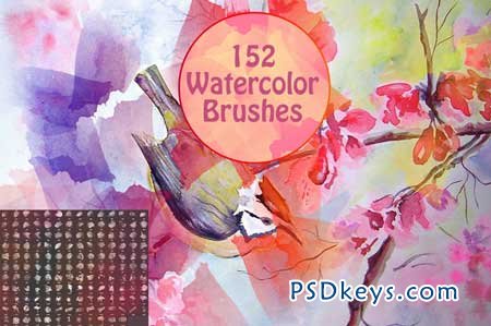 152 Watercolor Brushes 107992