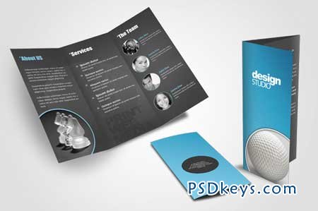 Agency Tri-Fold Brochure 3781