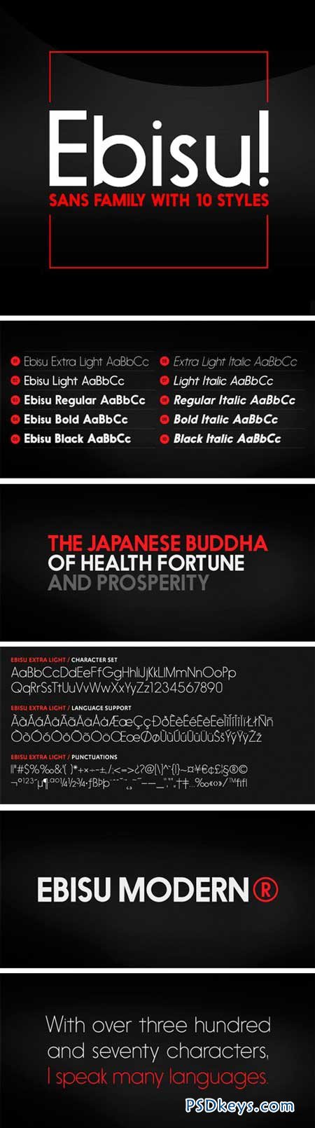 Ebisu Font Family - 10 Fonts for $199
