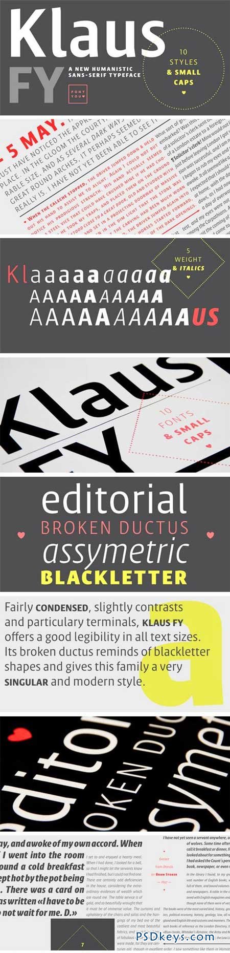 Klaus FY Font Family - 10 Fonts for $350