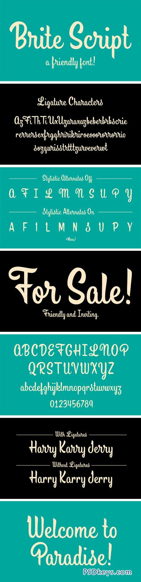 Brite Script Font for $25