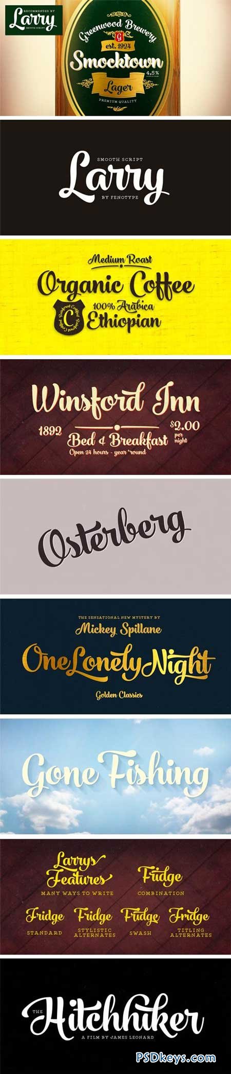 Larry Font Family - 3 Fonts for $45