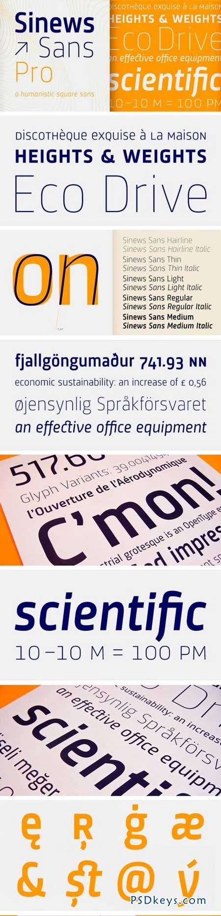 Sinews Sans Pro Font Family - 10 Fonts for 480