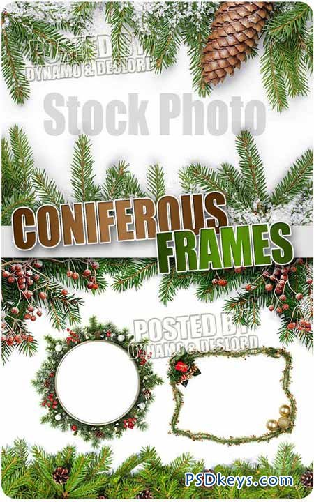 Coniferous Frames - UHQ