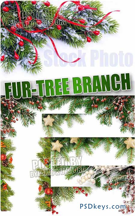 Fur-tree branch - UHQ