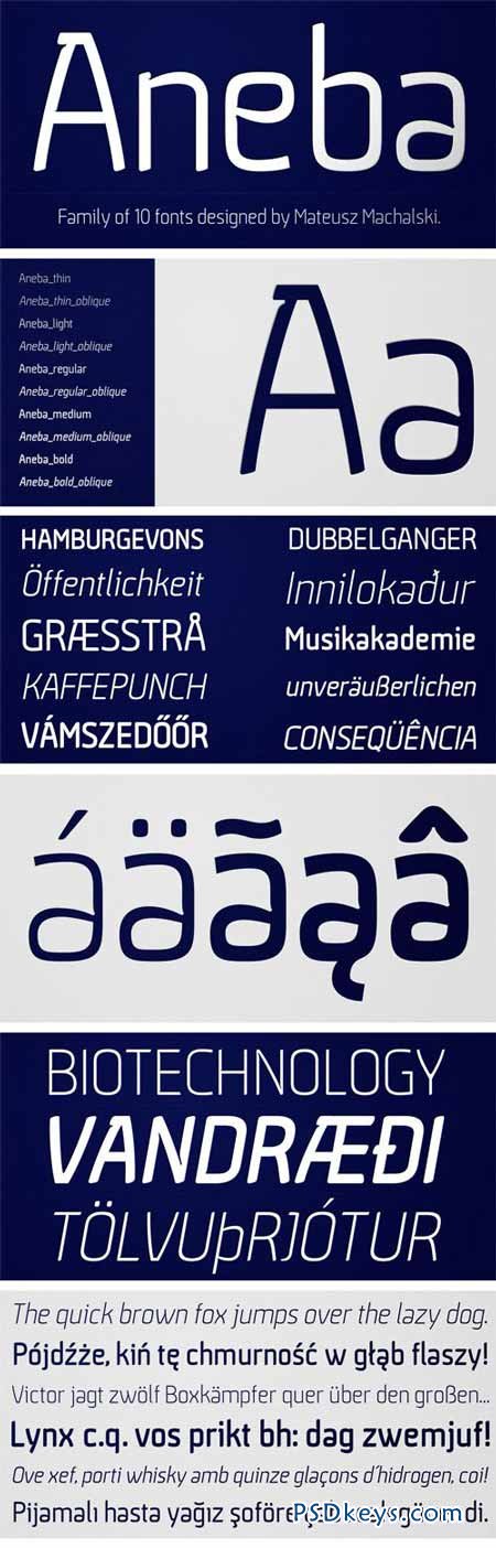 Aneba Font Family - 10 Fonts for $50