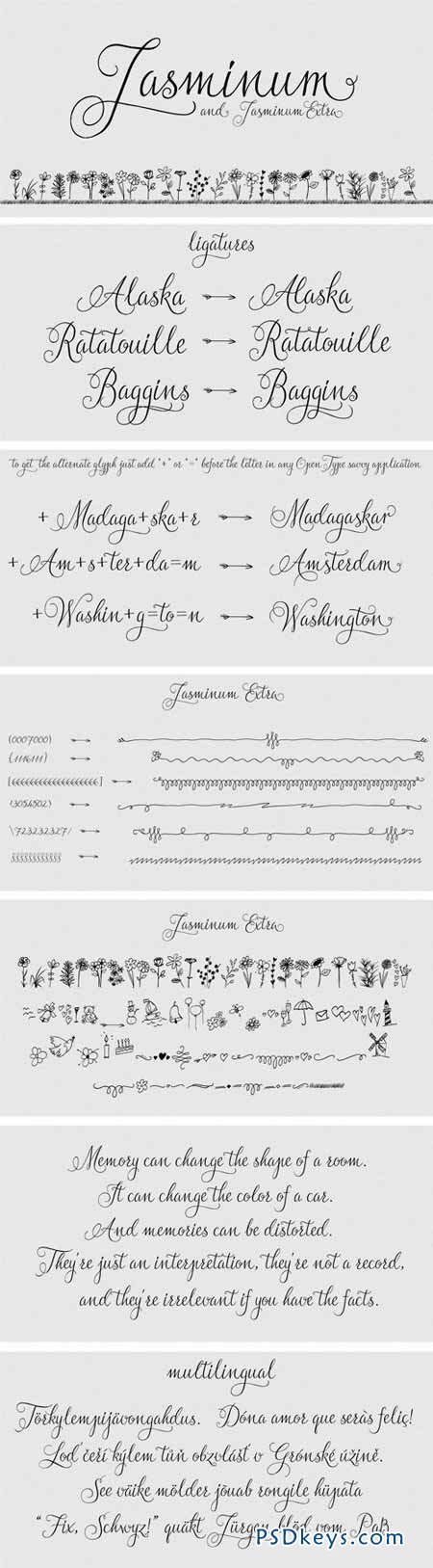 Jasminum Font Family - 2 Fonts for $28