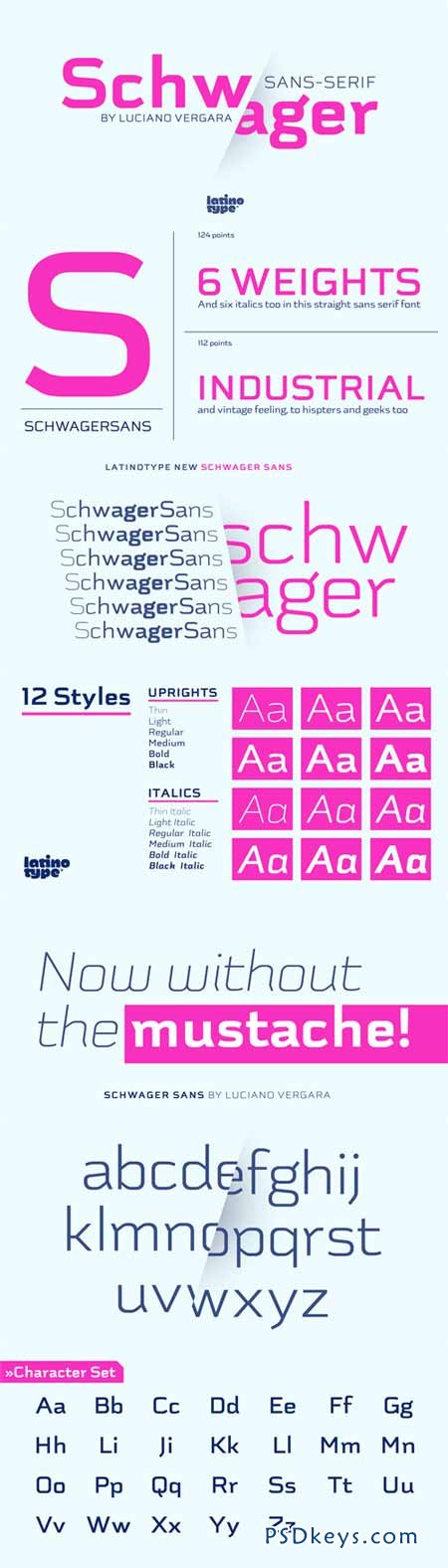Schwager Sans Font Family - 12 Fonts for $149