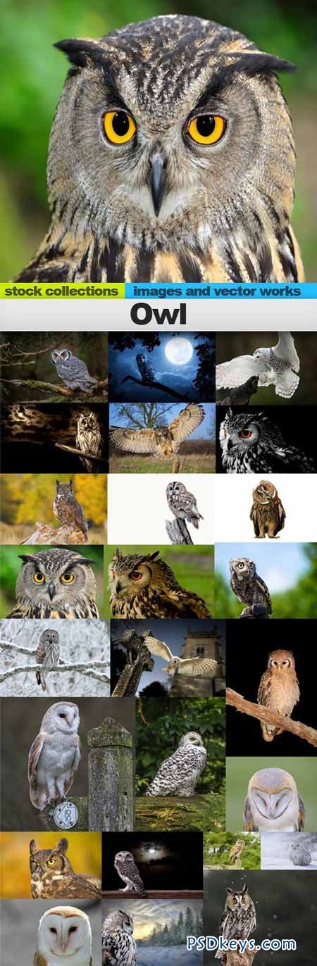 Owl 25xUHQ JPEG