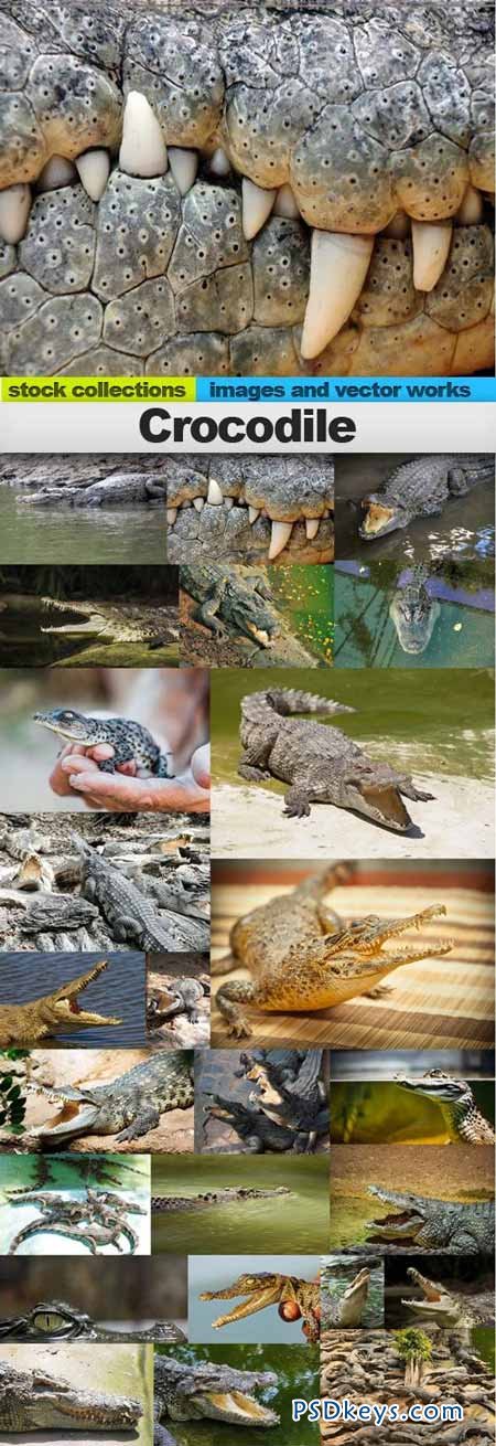 Crocodile 25xUHQ JPEG