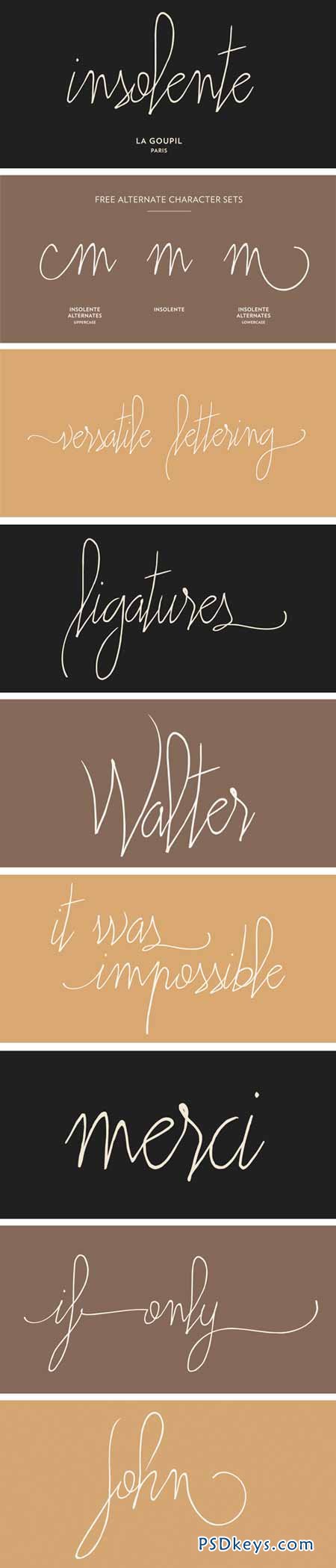 Insolente Font Family - 2 Fonts for $15