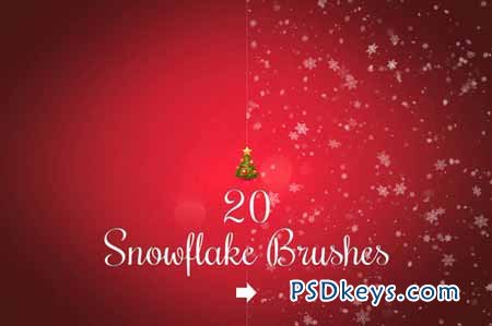 Snowflake brushes 114329