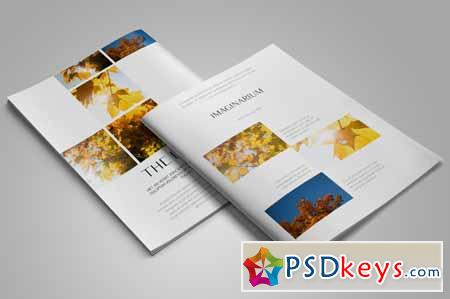 Imaginarium  InDesign Template 20411