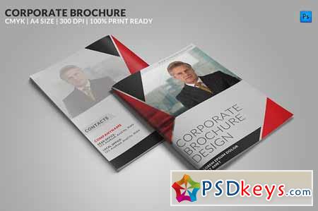 8 Page Corporate Bifold Brochure 74777