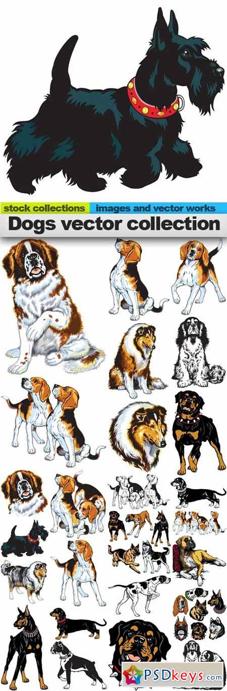 Dogs vector collection 25xEPS