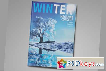 InDesign Magazine Template 117194