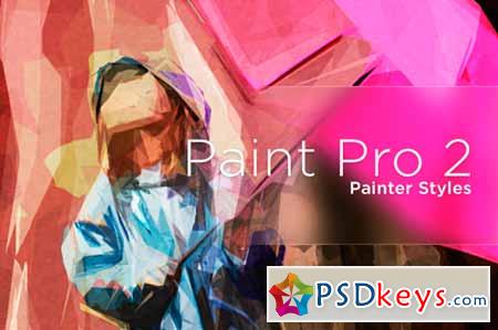 Painter Pro 2 14805