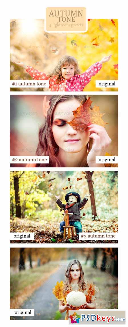 Autumn Tone - 4 Lightroom Presets 8970816